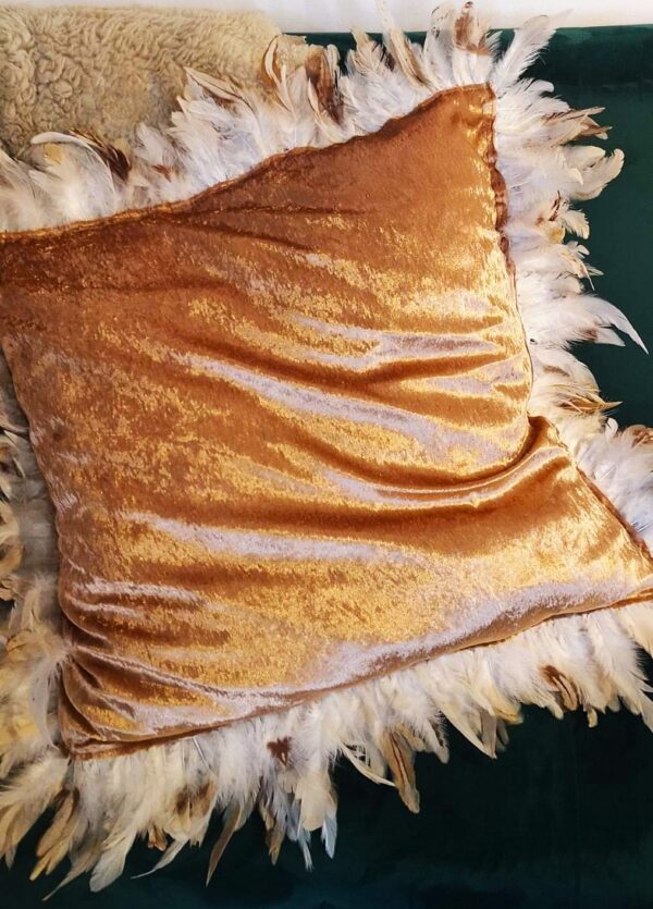 coussin velour et plume